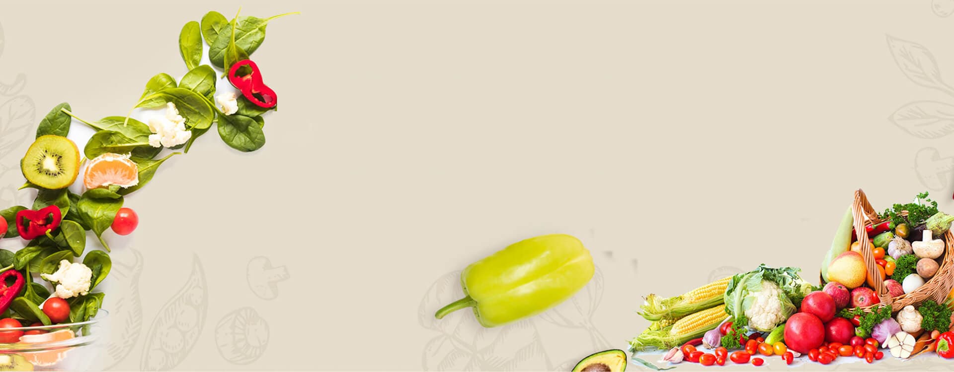 Pita House Long Island interior showcasing authentic Turkish cuisine